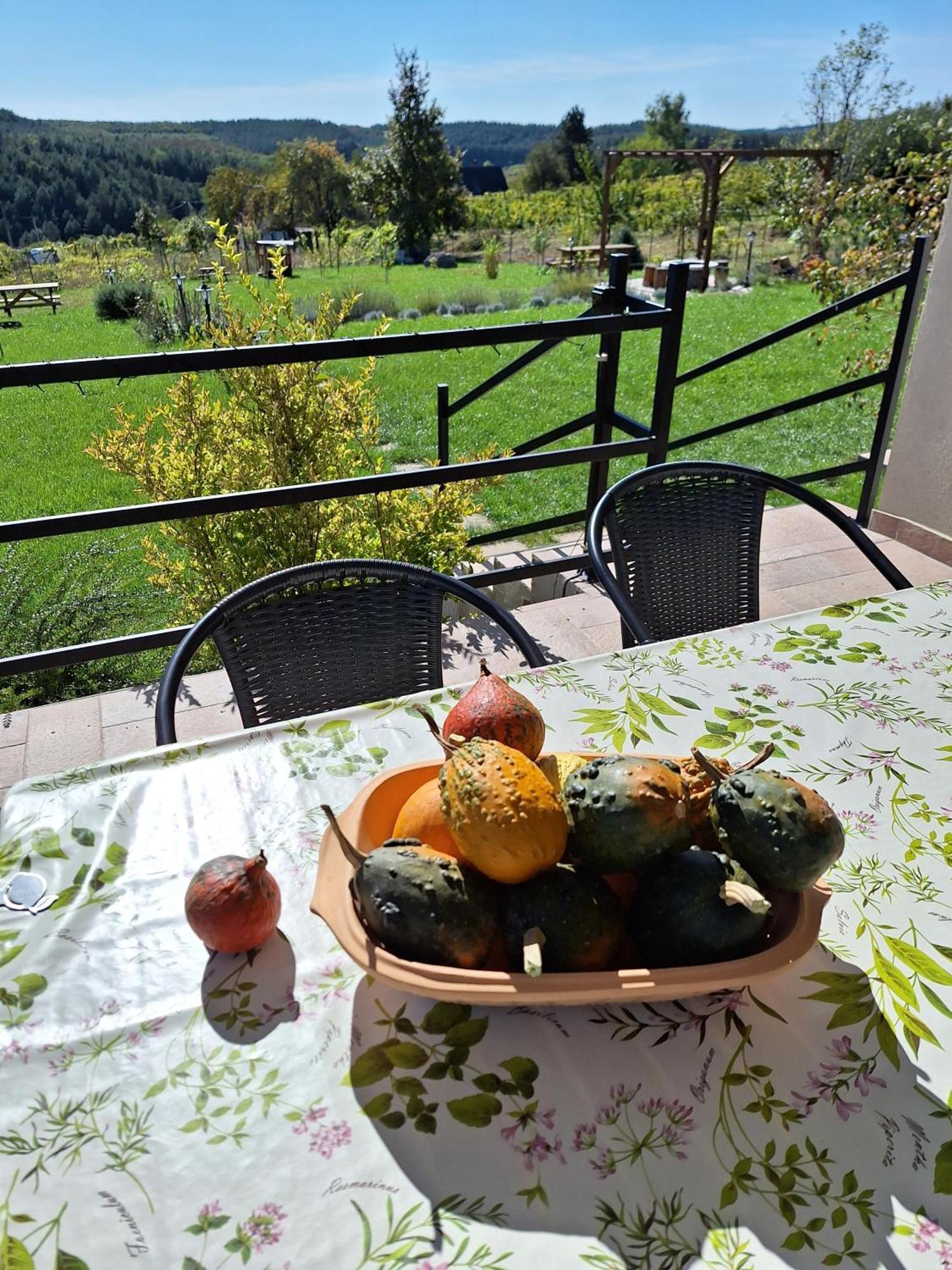 Ferienwohnung Zoeld Terasz Vendeghaz Egerszalók Exterior foto